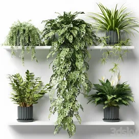 Plants on a shelf in ribbed pots